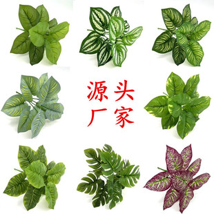 �ٻ��Gֲ�����~���Ԡ����b���ֲ���~�ӱ������廨��ľG�}�~