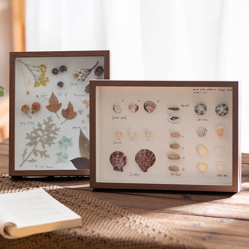 Stereo Hollow Dried Flower Photo Frame Shell Beach 8 Inch DIY Handmade Gift Forever Flower Preservation Boxed Specimen Frame