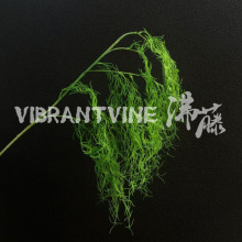 ���ܿ՚�ݷ����ٗl����Gֲ�Gɫ�ٲݲ����b�Ʒ���������ڒ�����