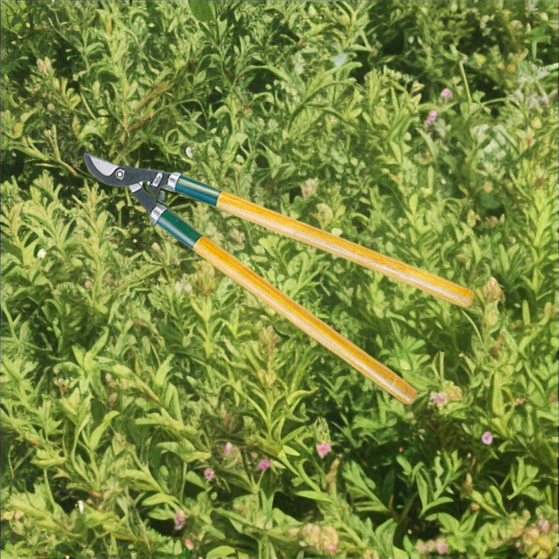 厂家直销供应高质量高枝剪树枝剪粗枝剪园林剪