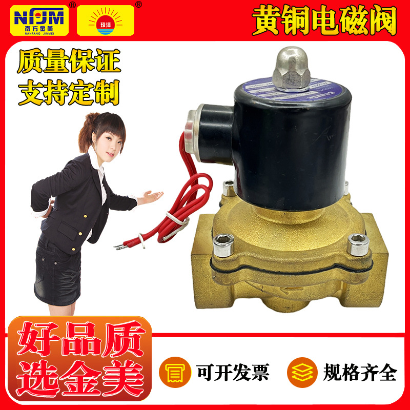 220V铜水用电磁阀常闭黄铜电控水阀4分2W160-15阀门025-08DN50 25