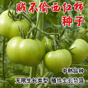 �\��͵�G���ѷN���ѾGɫ���t���N���ļ�ˮ���߲˷N�̨����������