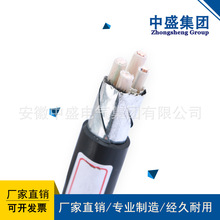 �͟��o�u��ȼ�������ρ��|WDZC-FSY11-KVVP2-23 4*2.5