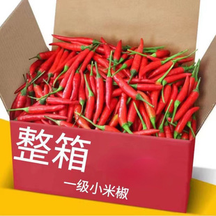 ���r��ժ��С�׽�2�����Ĳ�������콷ָ�콷ȫ�tС����