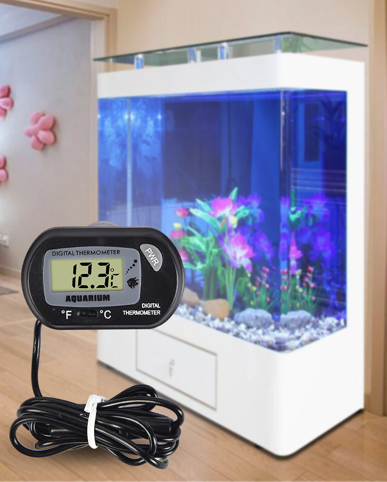 鱼缸温度计