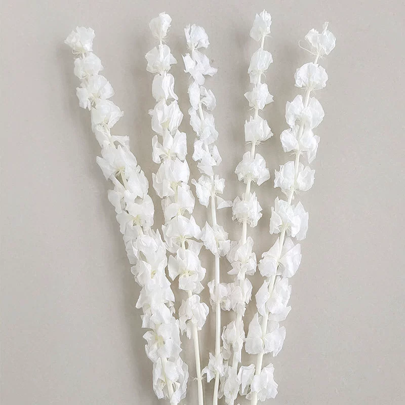 Wholesale eternal shell flower white ornaments flower arrangement shell flower photography props