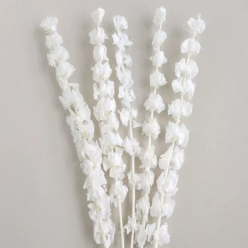 Wholesale eternal shell flower white ornaments flower arrangement shell flower photography props