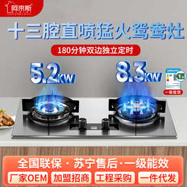 厂家批发燃气灶家用鸳鸯13腔猛火灶天燃气液化气台嵌两用煤气炉灶