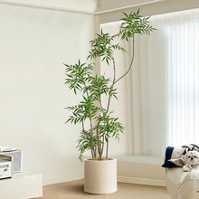 ͷGֲ҃ȿ͏d߶pb߼ֲʮ󹦄