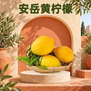 �Ĵ������S���� ���l1/2/3/5���S�����̲�����öY�����rˮ��