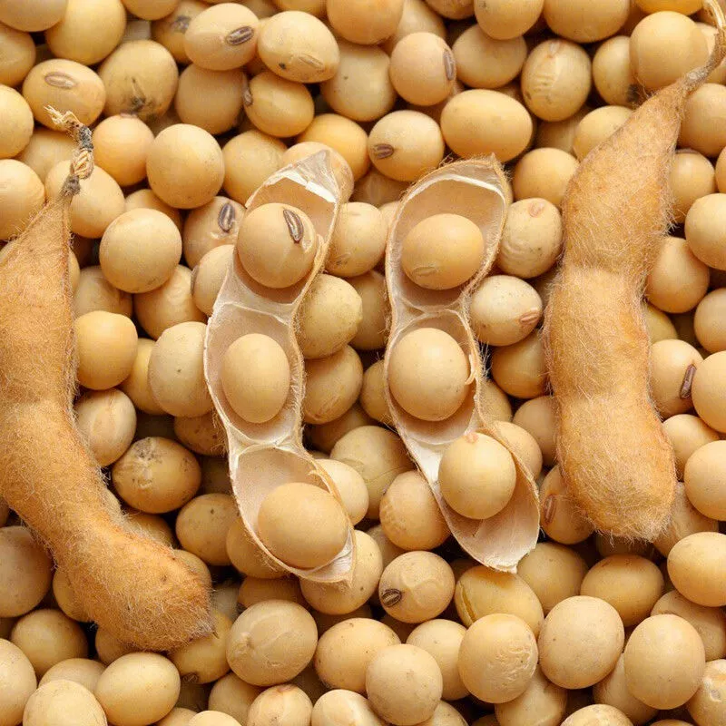 Высоковысоковысоковысоковысоковысоковысоковысоковысоковысоковысоковысоковысоковысоковысоковысоковысоковысоковысоковысоковысоковысоковысоковысоковысоковысоковысоковысоковысоковысоковысоковысоковысоковысоковысоковысоковысоковысоковысоковысоковысоковысоковысоковысоковысоковысоковысоковысоковысоковысоковысоковысоковысоковысоковысоковысоковысоковысоковысоковысоковысоковысоковысоковысоков