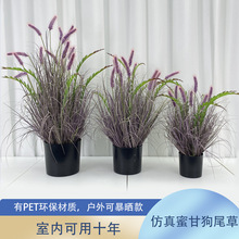 �����ɫ��Ȕֲ���b���������ֲ�ﹷβ�Ͳݼ�ͥ�k�������g��β��