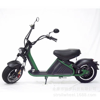 City Riding, 60V30Ah Removable – Elektrikli motosikletlər - matte-green-60v30ah