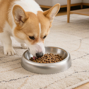 ���R�d�\��304���P�؈����򷭹�ʳ���ˮιʳ����Z����Ʒ