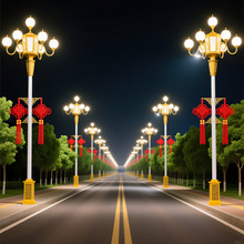 中华灯玉兰灯户外照明景观灯庭院灯6米8米10米12米广场中高杆路灯