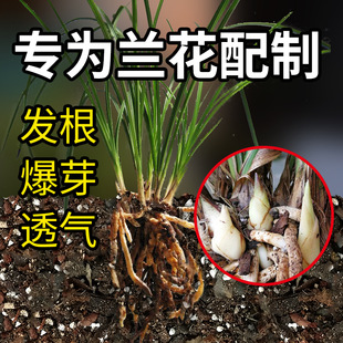 Orchid Special Soil Planting Material Nutritional Soil Dendrobium Clivia Phalaenopsis Orchid Soil Planting Material Granular Pine Bark Breathable