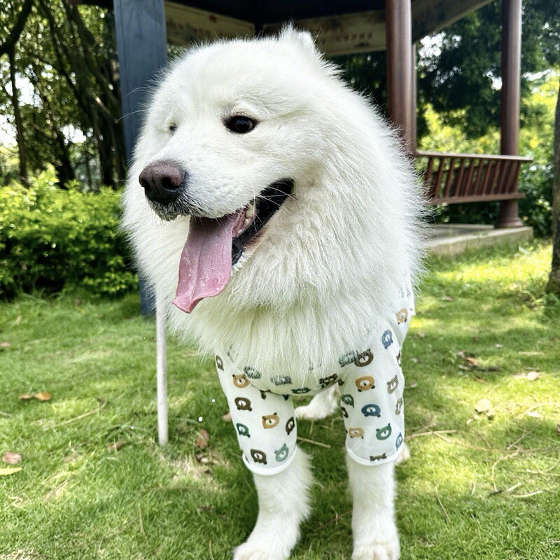 跨境春夏季薄款透气网眼中大型犬四脚衣萨摩耶柴犬拉布拉多狗狗衣|undefined