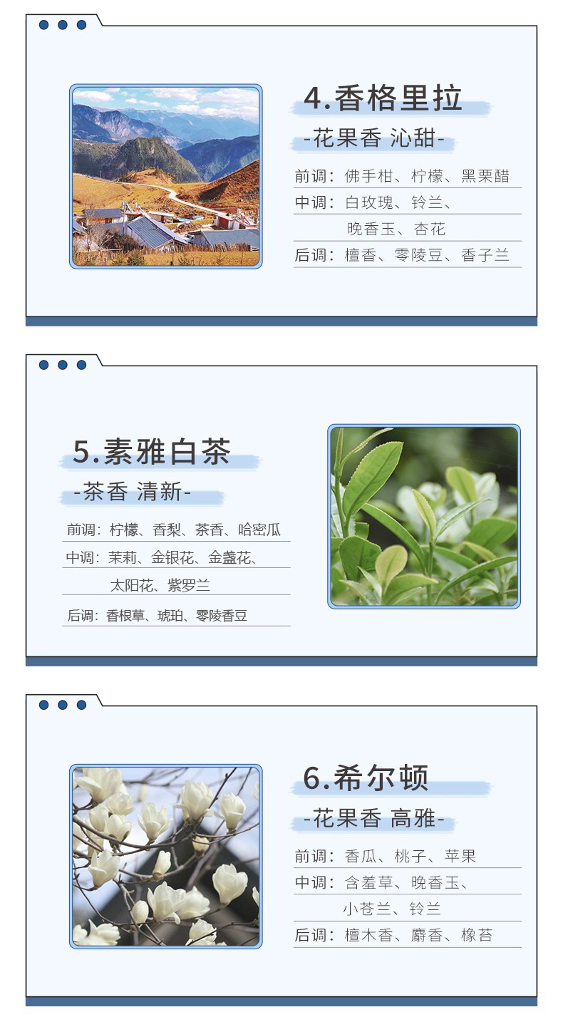 香格里拉-素雅白茶