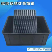 �Ӻ����Ϻ�ɫˮ���仨��ѿ���ÿ��߲˷Nֲ����P�����A�ײ��Nֲ��