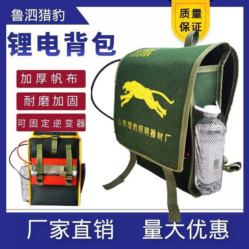 Новый стиль утолщение холст 12 В литиевая батарея рюкзак аккумулятор двуплечий рюкзак водонепроницаемый аккумулятор все в одном литиевый аккумулятор