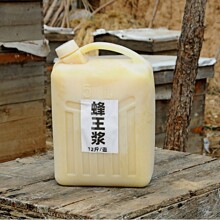 农家蜂场手工取速冻蜂皇浆整壶批发蜂王浆油菜春浆原浆纯正春采