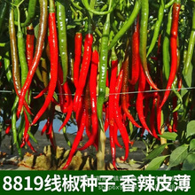 8819���߽�����ũ���԰���߽��Ѹ���������̨���������߲�����