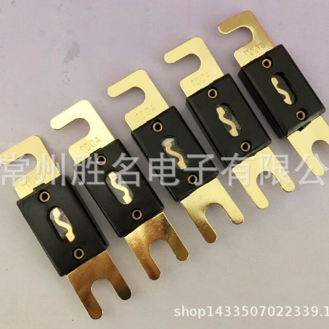 汽车大号螺栓式保险丝片汽车叉栓式保险丝片汽车大平板保险丝ANL