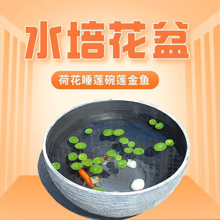 Hydroponic Lotus Basin Plastic Planter, Large-Caliber Fish Pot, UV-resistant, Multiple Sizes
