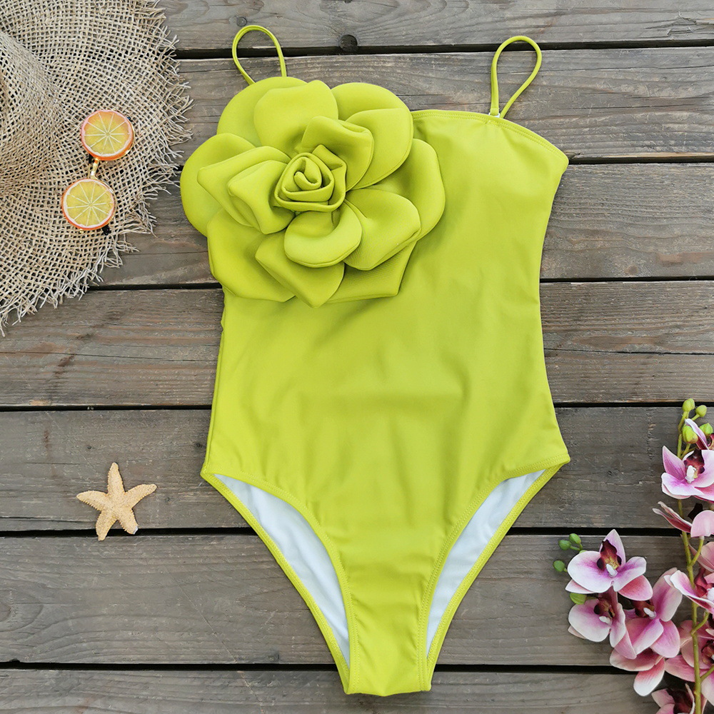 Swimsuit Image 5