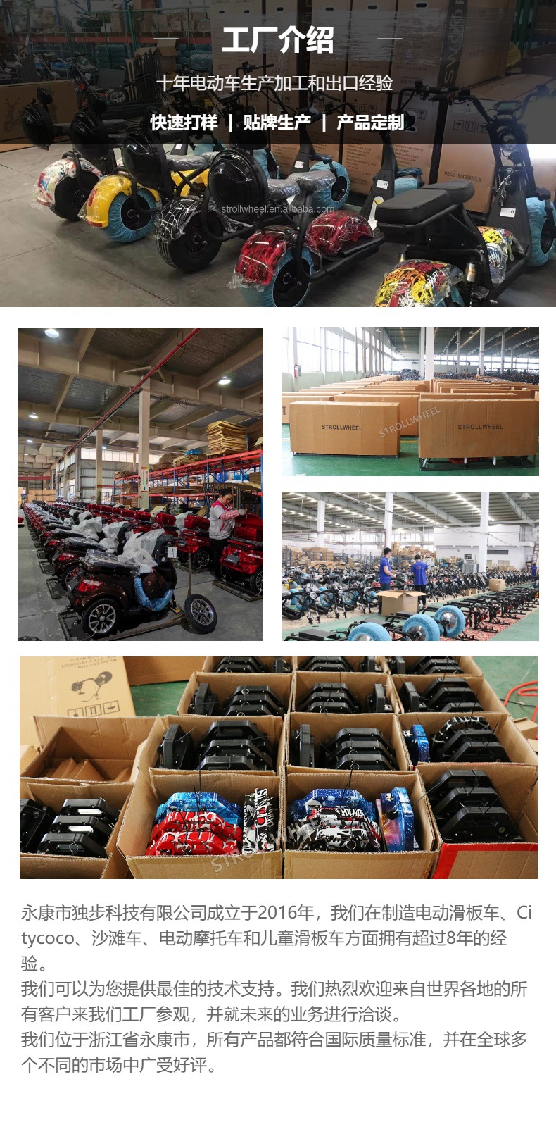 QC-Y-03 High-Speed Electric Off-Road Vehicle 60V2000W Teenager Mountain Jungle Off-Road Cross-Border Electric Motorcycle