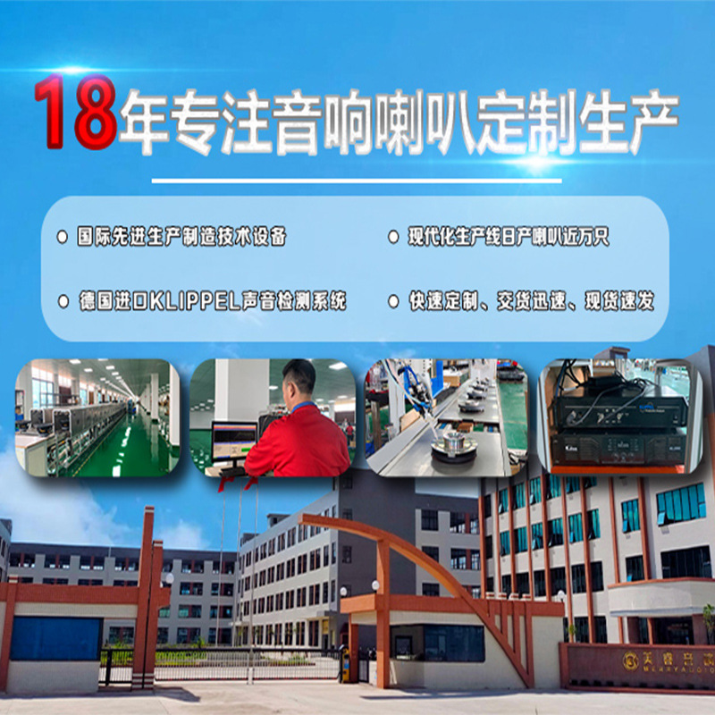 Meirui 10 pulgadas MEDIADOS DE-bajo altavoz de frecuencia completa altavoz Carro de cine en casa karaoke titular de la tarjeta de altavoz de audio