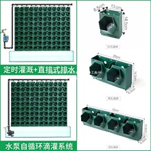 ֲ��Nֲ���{��@���̨��ֱ�G������ֲ��Ǡ��ڻ�����䳲����