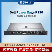适用戴尔Dell R250 1U机架式单路服务器ERP数据库网站Web应用托管