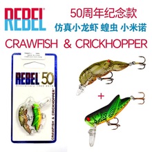 ���� REBEL 50��������·��Ӳ��С��ŵС��Ϻ�ȳ�����ٶ�