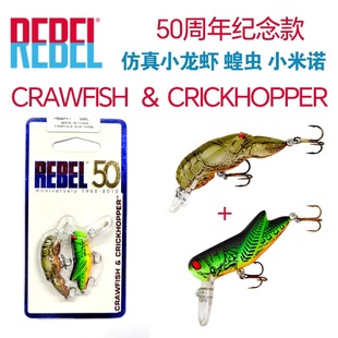 ���� REBEL 50����o���·��Ӳ�DС���ZС���r���x�M����D
