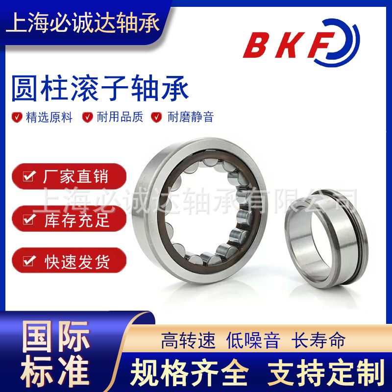 BKF圆柱滚子轴承N NJ NU NF NUP312 313 314 315 316 317 318 EM