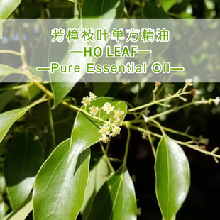 ���޷���֦�~�η�����ԭ�����lHoLeaf Oil�҂��ṩԭ�a���C