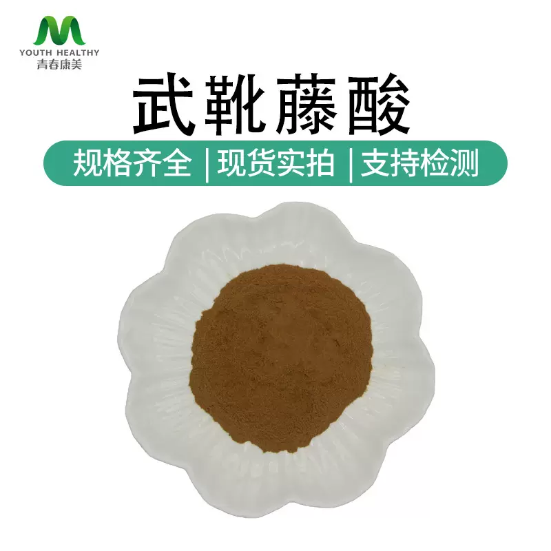 武靴藤酸25% 匙羹藤提取物 另有50%75%的90045-47-9 厂家现货