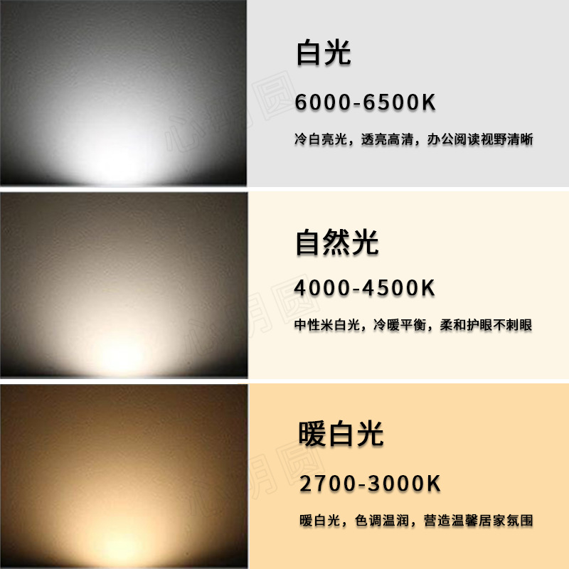 Cross-border hot-selling flashlight bulb P13.5S led bulb 3W plug lamp E10 bright small bulb 3V6V12V