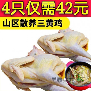 ���r����S�u�r��ɢ�B���u��ĸ�u���u���u�u�������uɽ�u���u