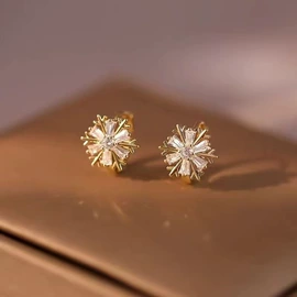 耳扣;耳环;项链