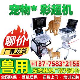 宠物b超彩超机犬猫B超机兽医用动物彩超 狗狗彩色b超设备报价