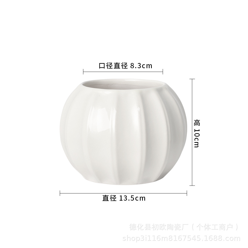 13510 호박 대형
