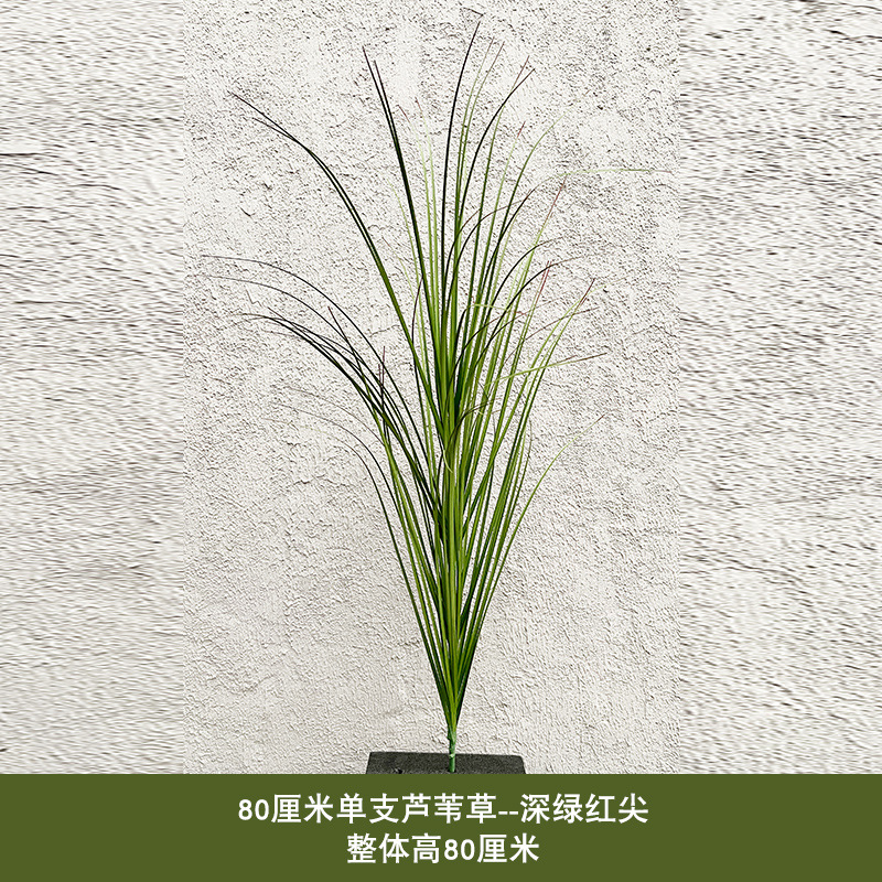 80cm 단일 갈대 - 진한 녹색과 빨간색 끝