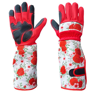 �羳���N���w���ϼ��÷������׈@�ֈ@ˇ�����������ڱ����o����