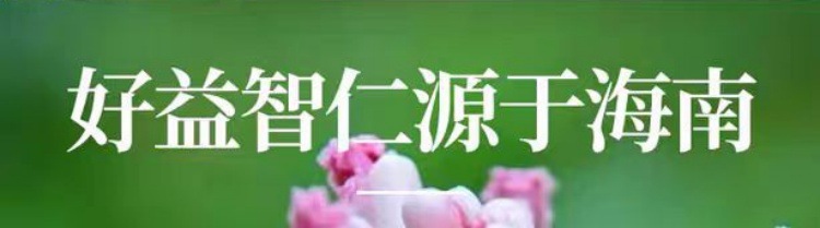 Yi Zhi Ren (Alpinia oxyphylla) — Hainan Dried Food-Herb Fruit, 500g overview