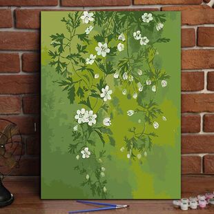 ���ܔ����ͮ�diy��ɫ�L������ϵ�߼��п͏d�b��ֹ��Tɫ��ϩ��