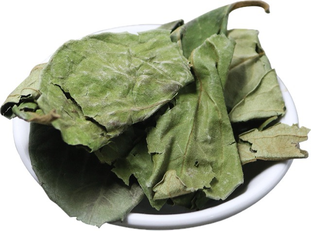 Dried Persimmon Leaves Shi Ye 500g Natural Whole Leaf Herbal Tea Material in use