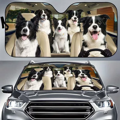 Heat-Insulating Sunshade Car Universal | Sun shade - 130cm70cm-conley-shepherd-dog