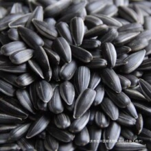 Ϳ5؛СͿ2ﳴ؛ͱ}ԭζʳ